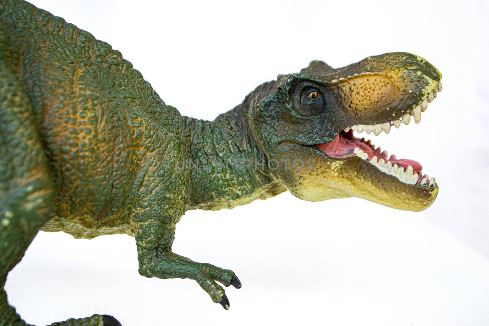 Tyrannosaurus dinosaurs toy on white background by milastokerpro
