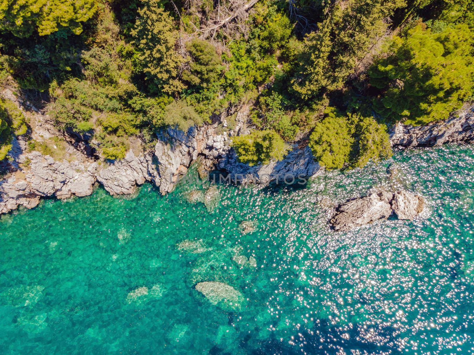 Picturesque sea Adriatic coast of Montenegro. Turquoise Mediteran sea and rocky shore with evergreen coniferous trees. Wonderful summer landscape. Drone by galitskaya