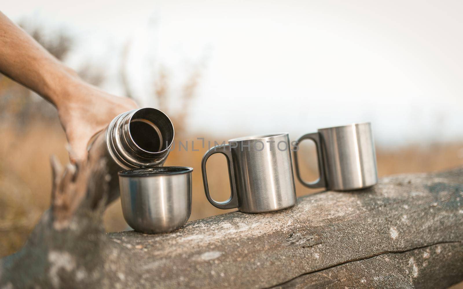 Caucasian Man Pouring Hot Drink In Mugs From Thermos Outdoors, Three Steel Cups Are On Old Tree Lying In A Log, Close Up Shot, Tea Party Or Coffee Drink In Nature Concept