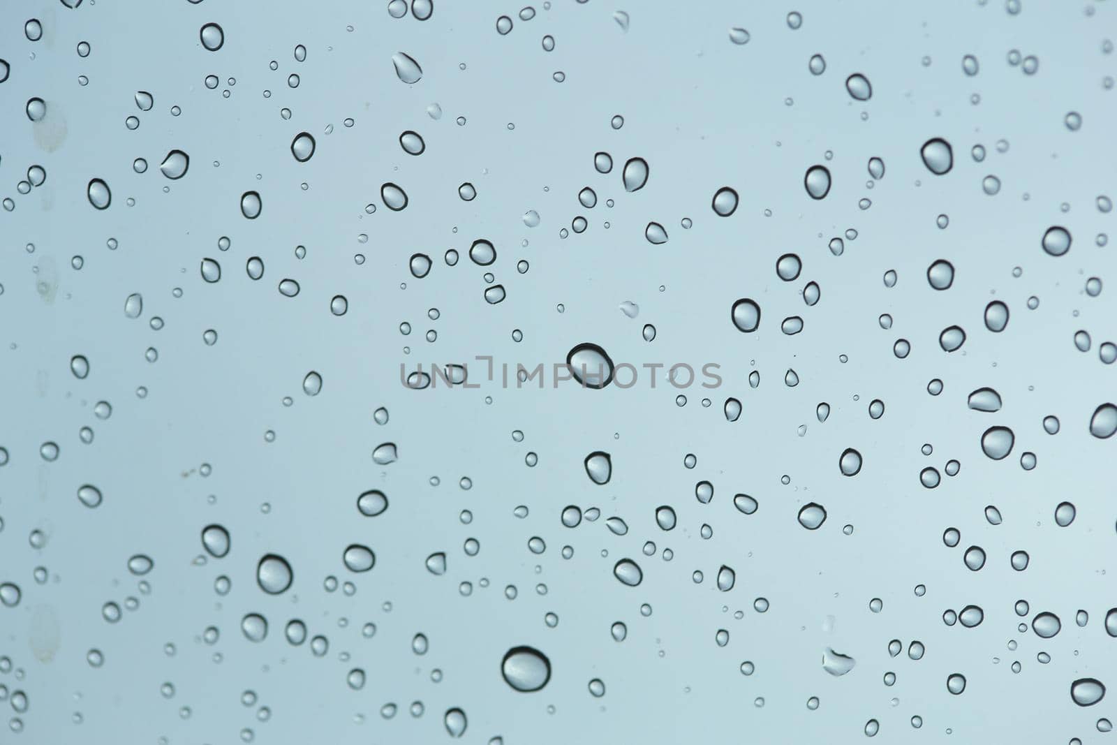 fressh background of water drops  by geargodz