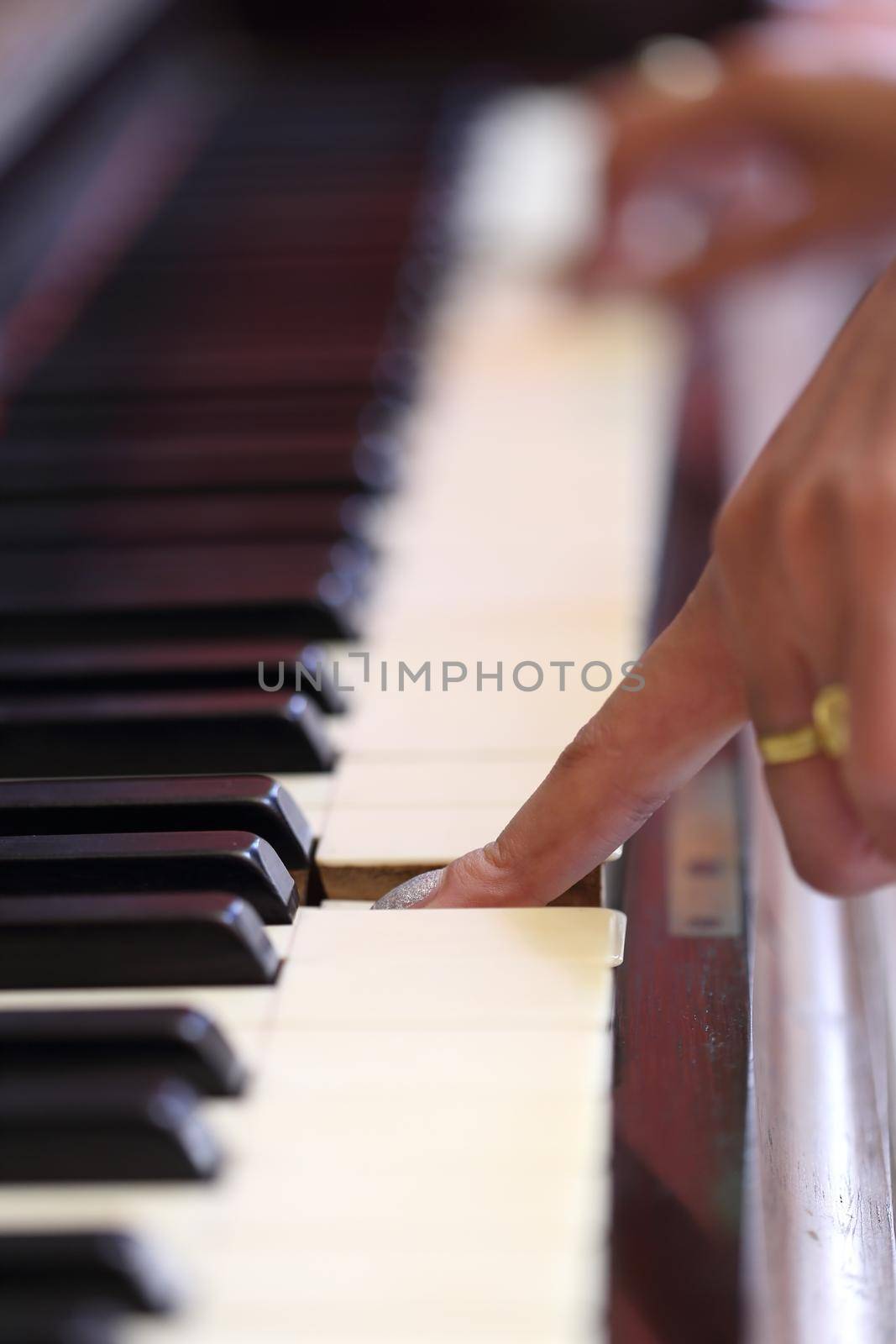 Close up of hands playing the classic wood  piano