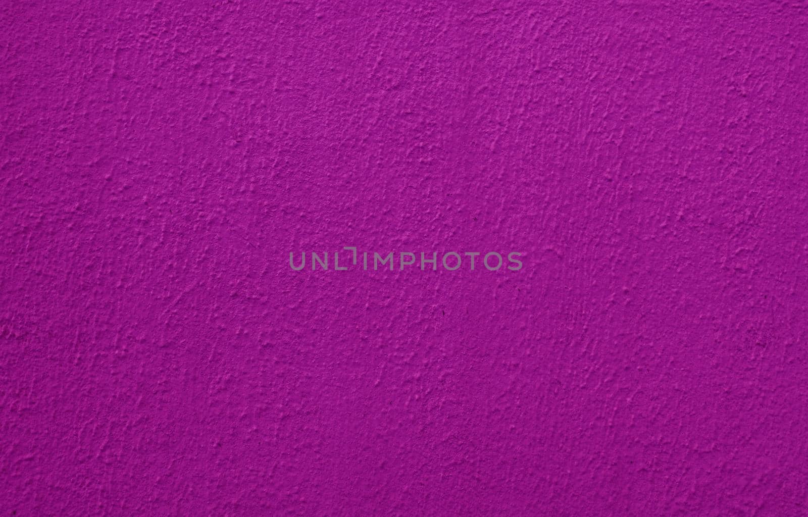 Purple wall of the house as a close-up background. by gelog67