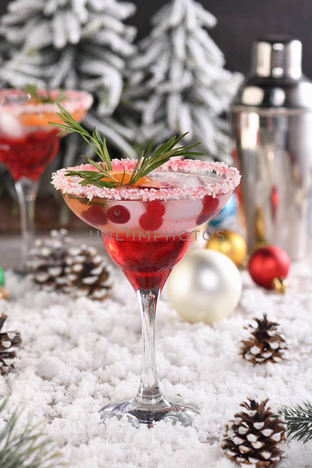 Christmas Cranberry margarita cocktail is mandarin and rosemary combined with cranberries and tequila. This cocktail is bursting with vibrant citrus and herb aromas, showcasing the best winter season fruits.Festive Christmas or New Year drink