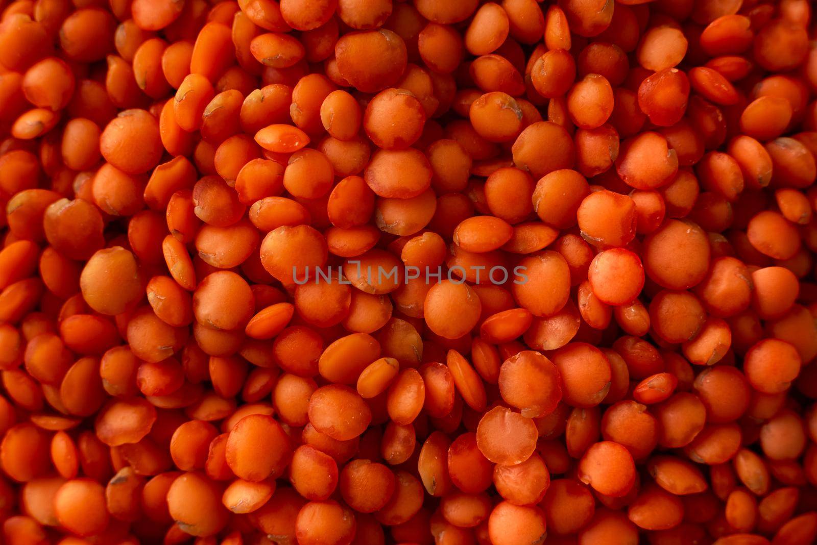 Dry red lentils very close. Red lentil grits. Dried orange lentil grains, pile of daal, raw daal, dhal, masur, Lens culinaris or Lens esculenta. Extreme closeup