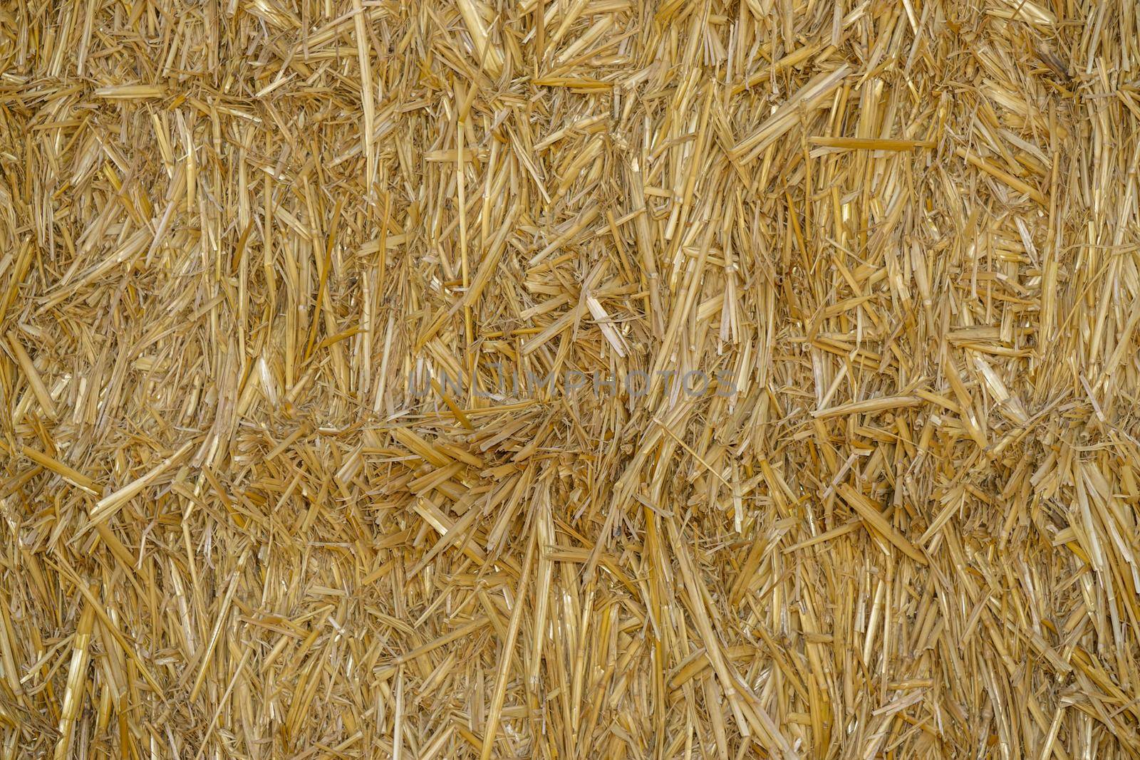 Bale of hay in the village at sunset