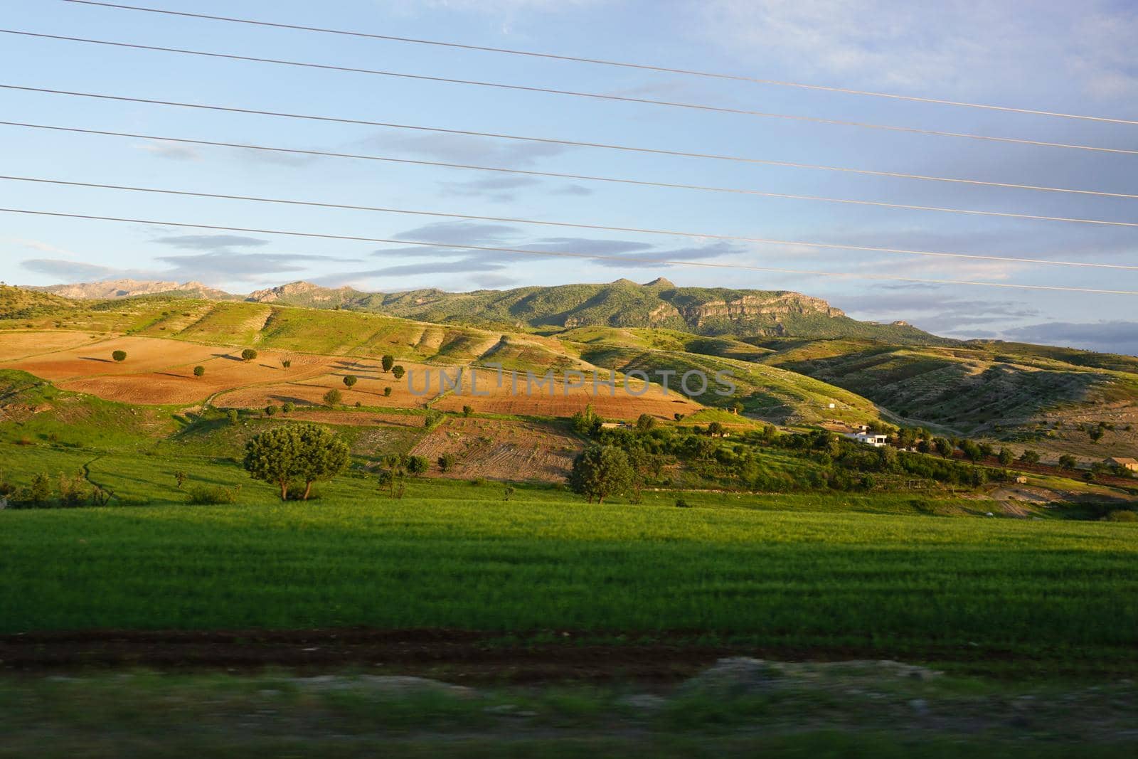 Green fields in Cizre Turkey at Sunset