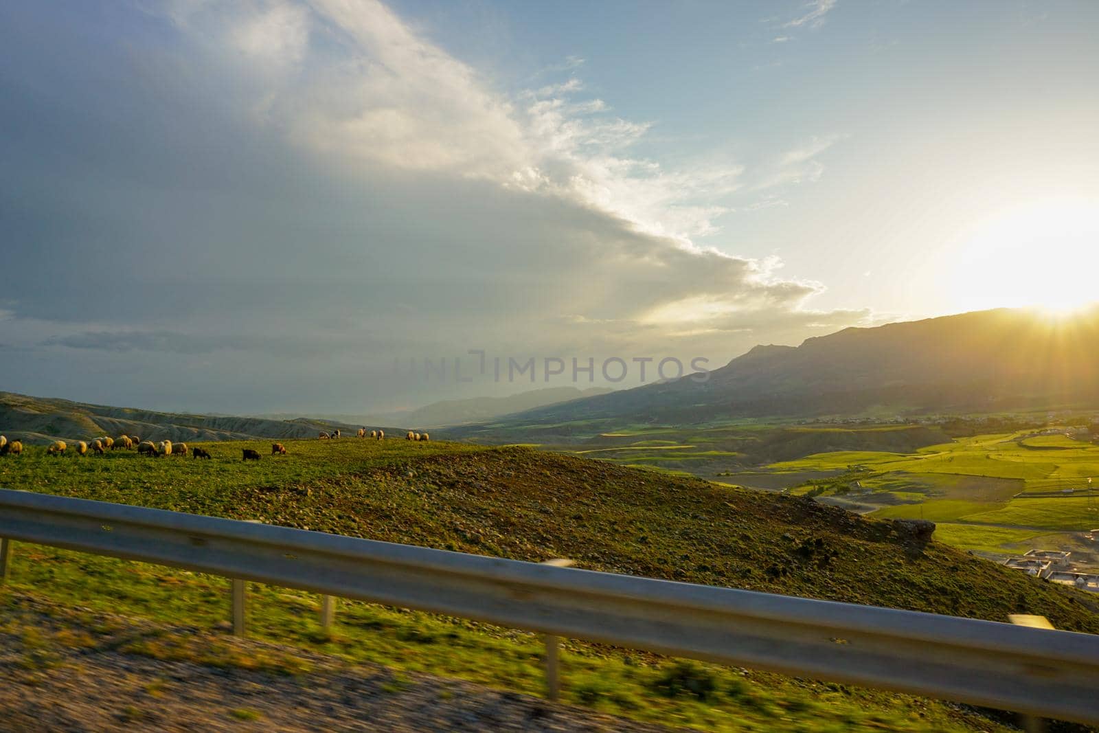 Green fields in Cizre Turkey at Sunset