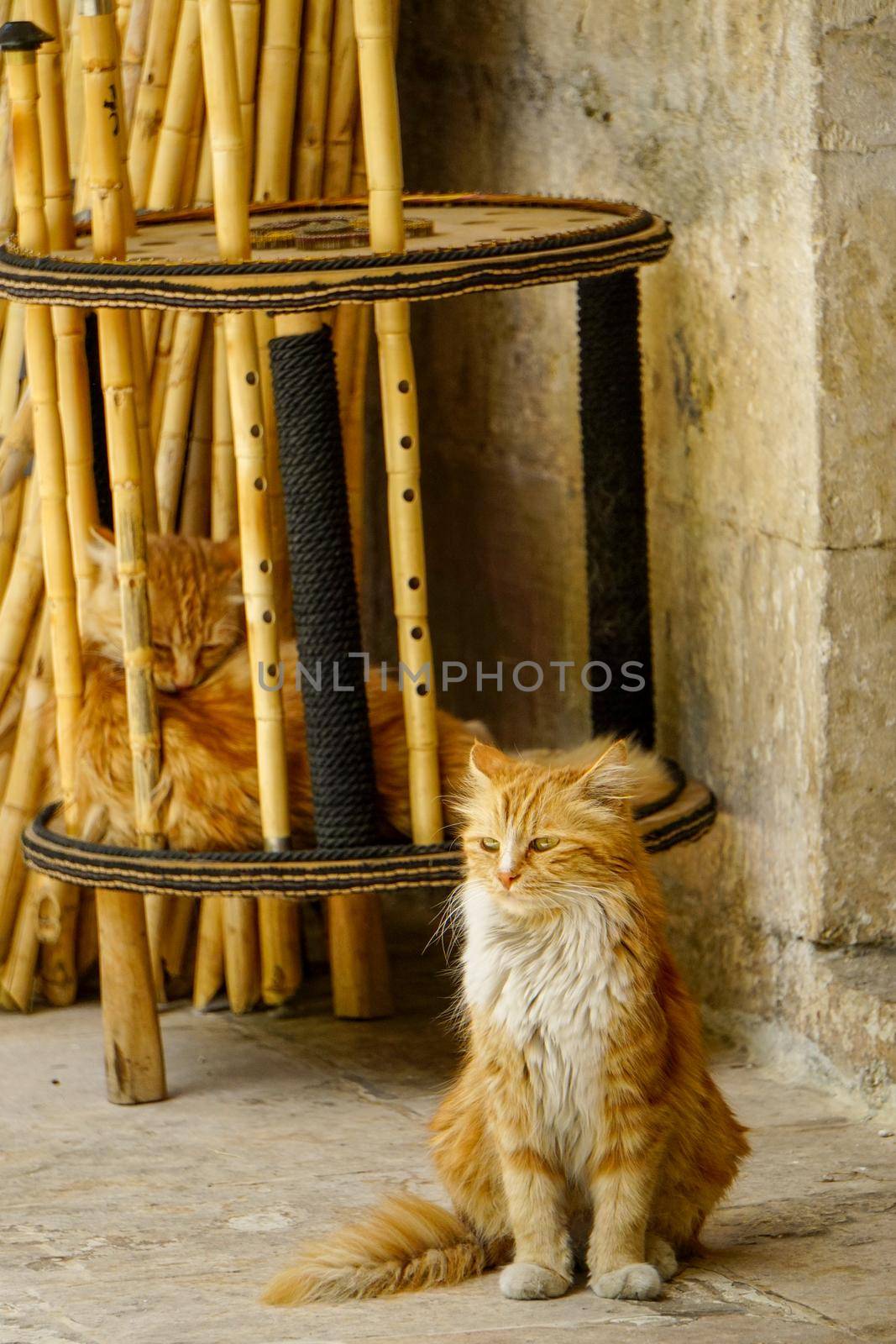 End blown reed flute at Sanliurfa Turkey