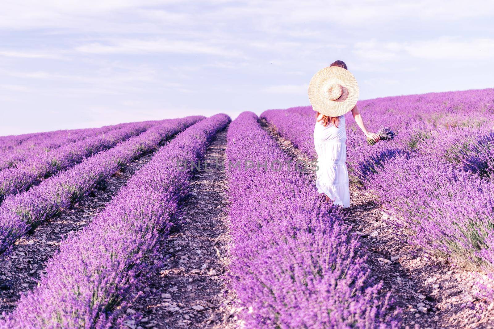Close up portrait of happy young brunette woman in white dress and straw hat on blooming fragrant lavender fields with endless rows. Warm sunset light. Bushes of lavender purple aromatic flowers. by panophotograph