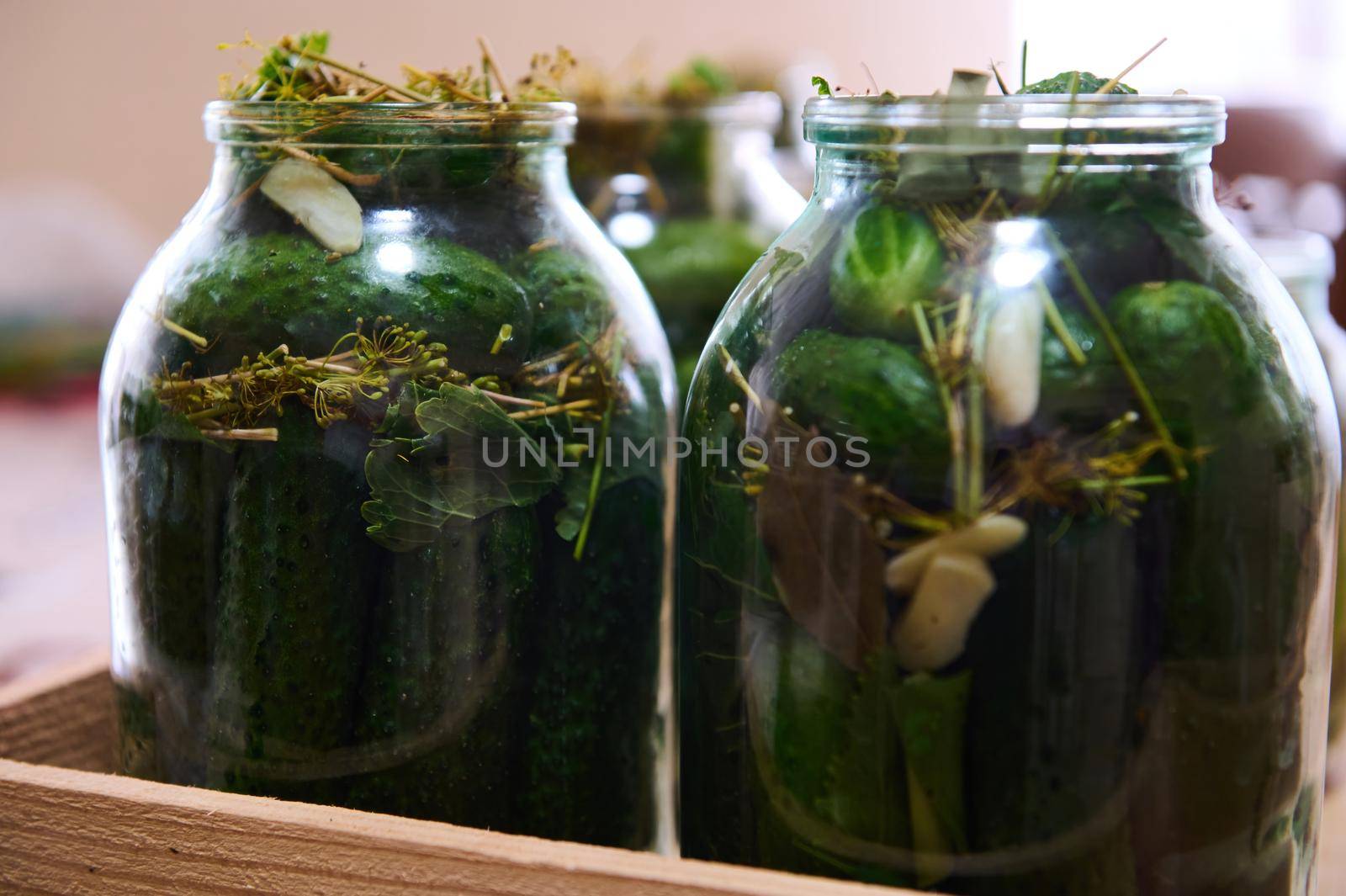 Pickled, marinated homemade cucumbers with fresh dill and garlic preserved in a glass jar. Autumn canning of vegetables. by artgf