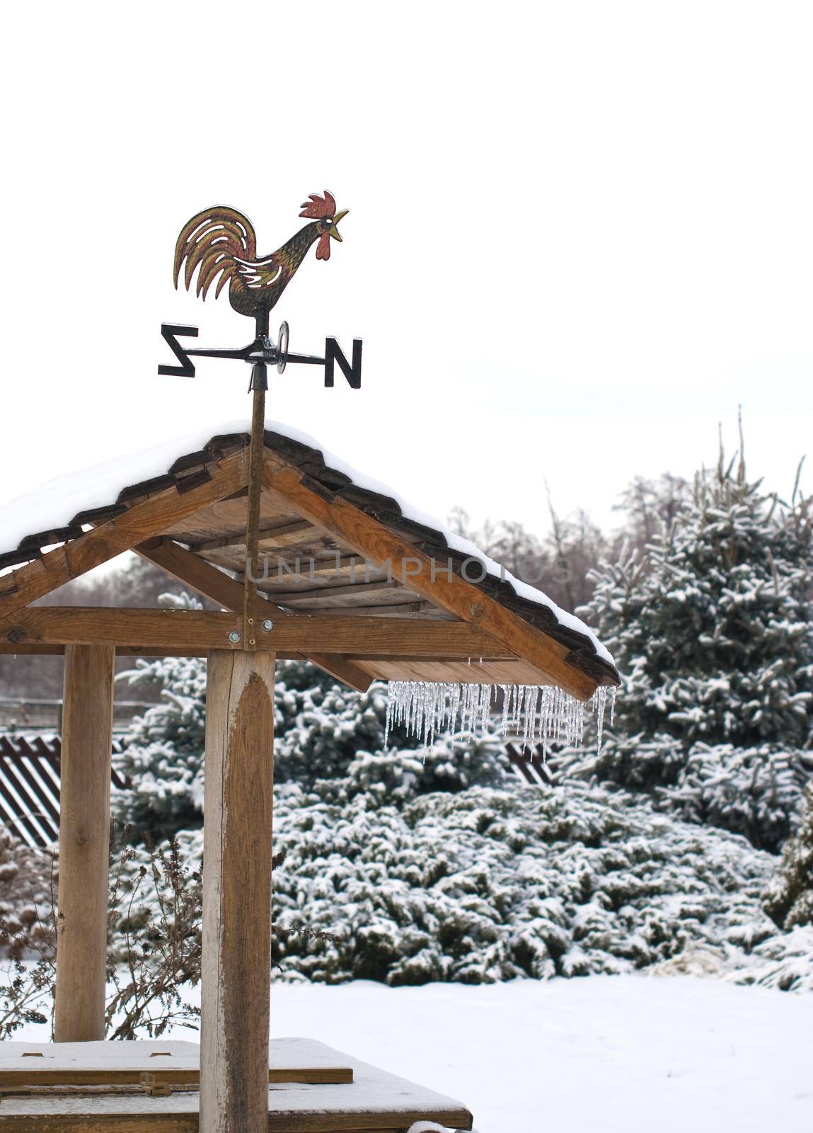 Rooster and wind rose on the roof and blue sky in the background