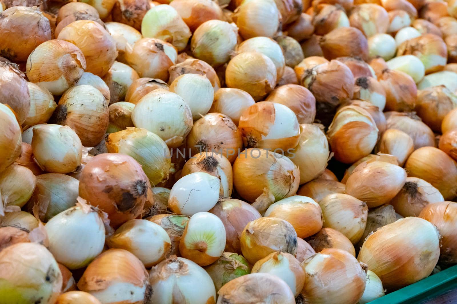 Fresh onions. Onions background. Ripe onions. Onions in market.