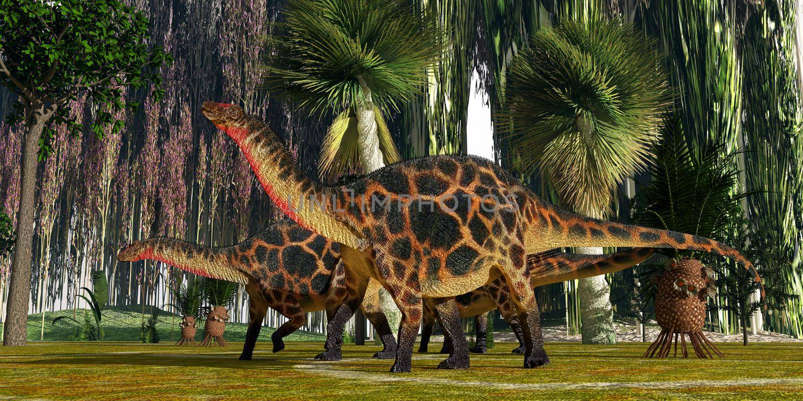 Jurassic vegetation towers over two Dicraeosaurus sauropod dinosaurs as they look for plants to eat.