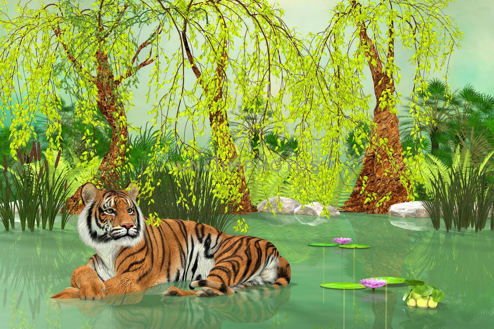 Tiger Pond by Catmando