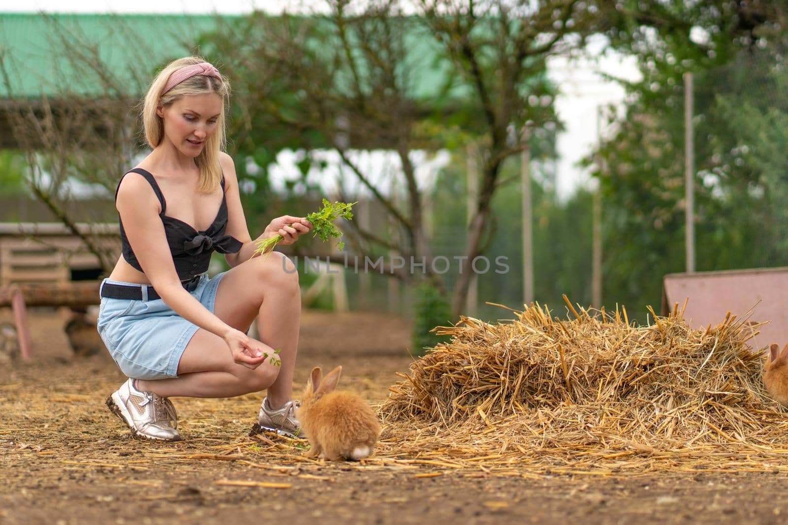 Girl feeds parsley rabbit easter brown bunny white fluffy garden, from hare young from natural for mammal grass, beautiful animal. Funny isolated,