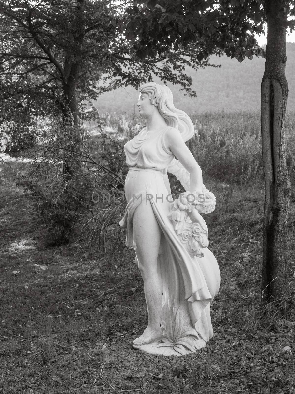 ornamental statue in the garden in summer by verbano