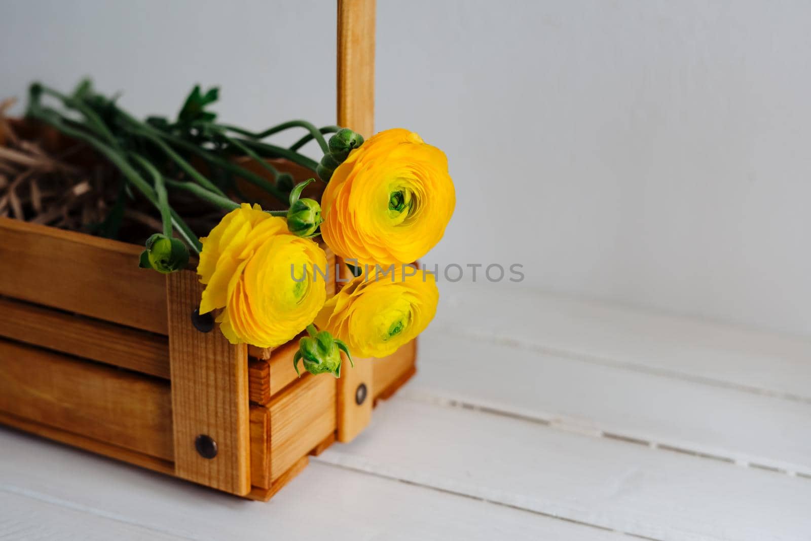 Bright yellow flowers in a wooden box. Beautiful bouquet of ranunculus. Bouquet for birthday, anniversary, international women's day, valentine's day. Flowers in a drawer on a white background.