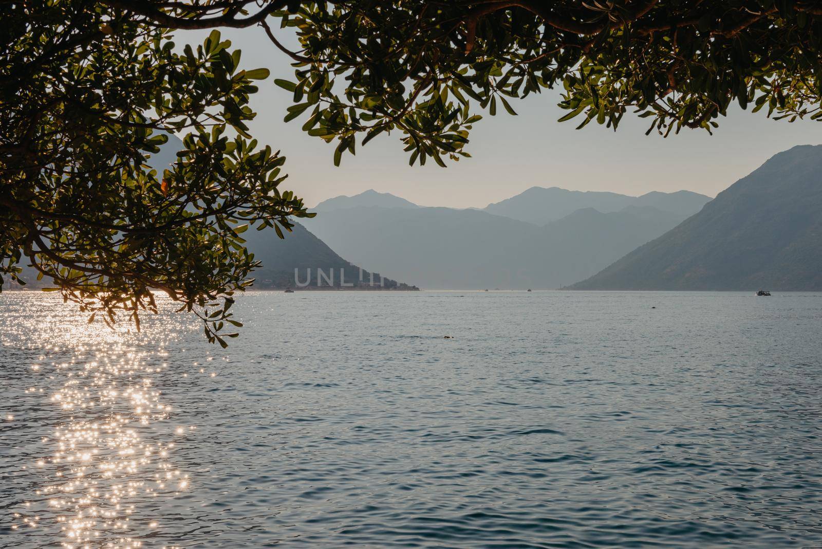 Sunset, beautiful landscape with silhouettes of trees. Travel concept. Montenegro, Kotor Bay. Sunset at Kotor Bay Montenegro. View of the sunset in Boko-Kotor Bay in Montenegro. Silhouettes of mountains. High quality photo