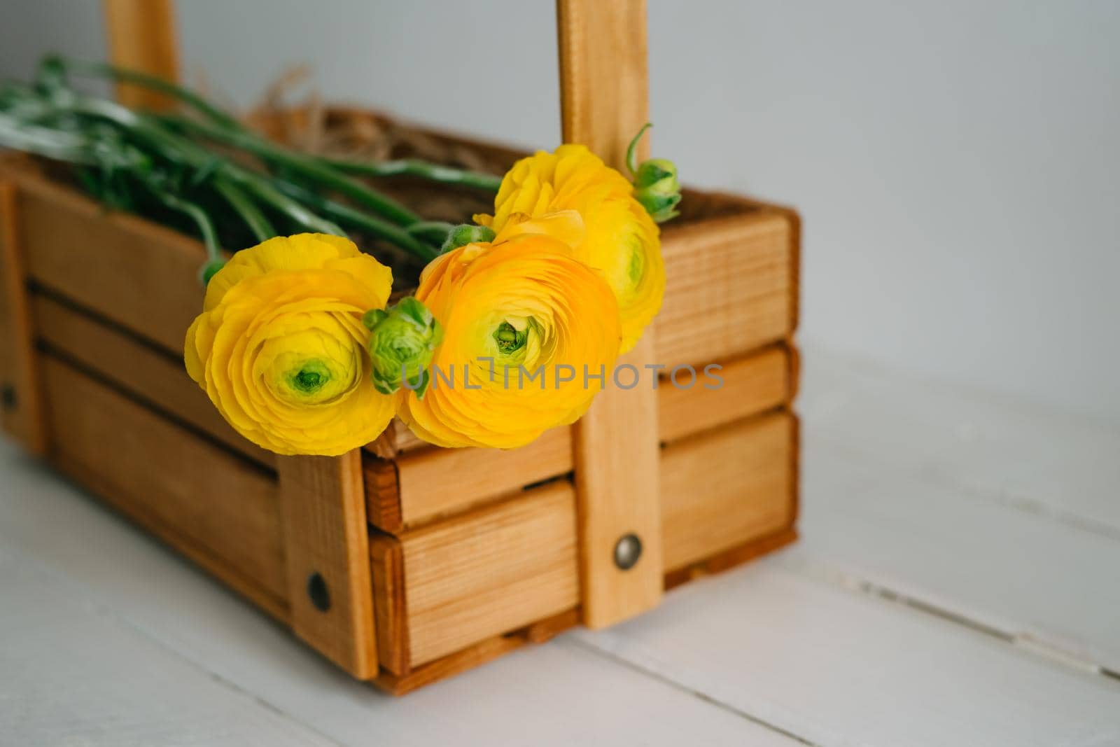 Bright yellow flowers in a wooden box with a handle. Beautiful bouquet of ranunculus. Bouquet for birthday, anniversary, international women's day, valentine's day.