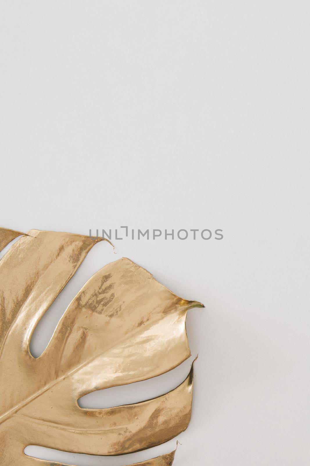 white background with golden monstera leaf. minimalist concept with copy space