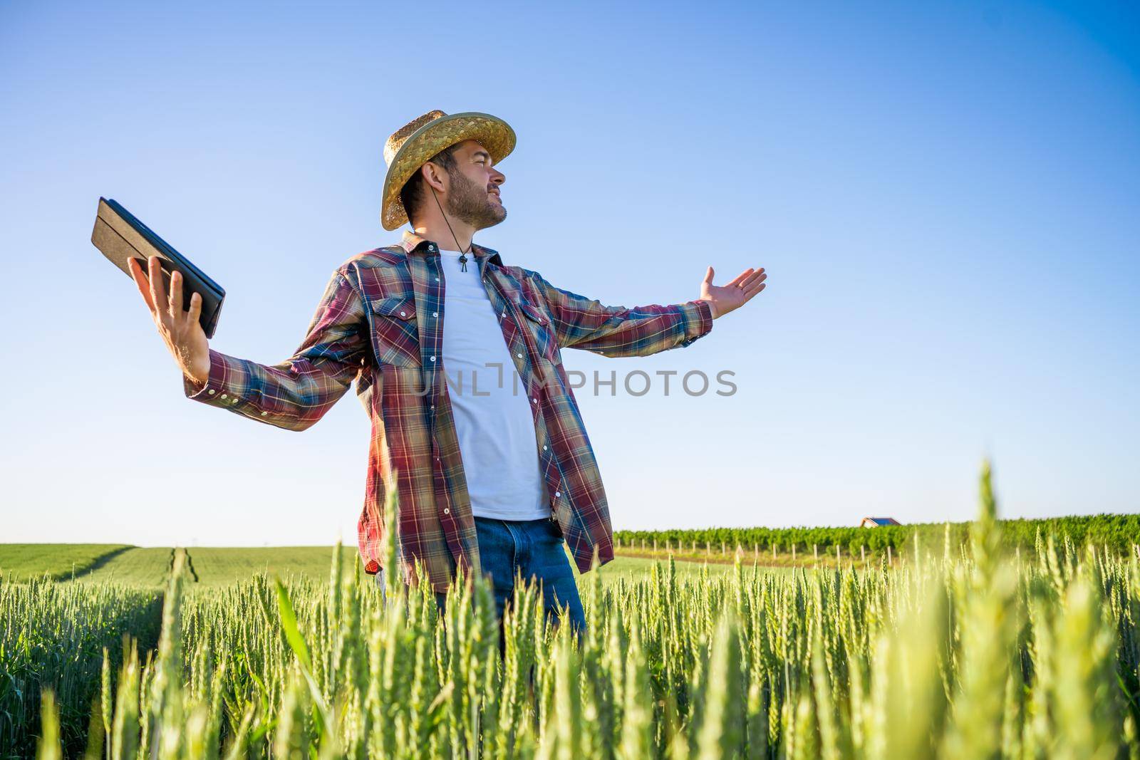 Man is cultivating barley on his land. He is satisfied because of good progress of crops.
