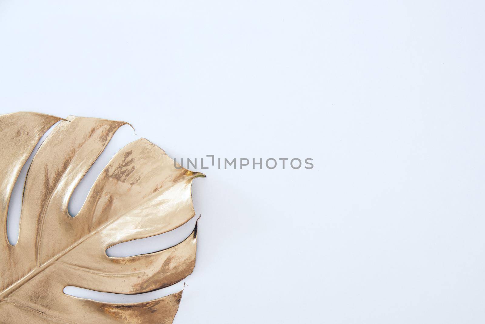 white background with golden monstera leaf. minimalist concept with copy space