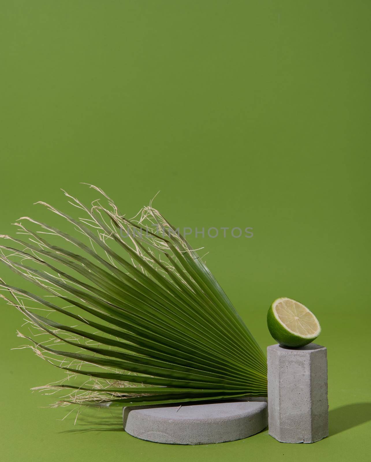 mockup with palm leaf, lime half and concrete shapes. High quality photo