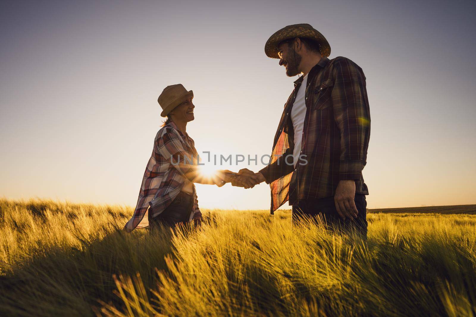 Partnership in agricultural business. Couple working together as farmers and cultivating wheat.