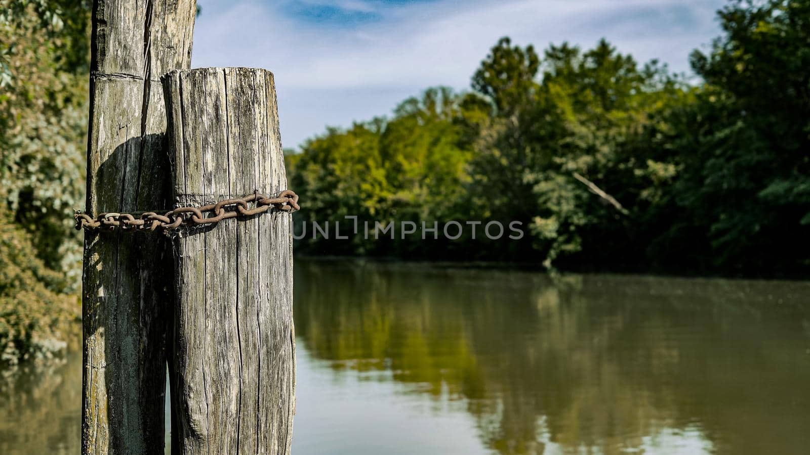 A chain tied to the tree trunk at the Po river Nature reserves in Italy Europe