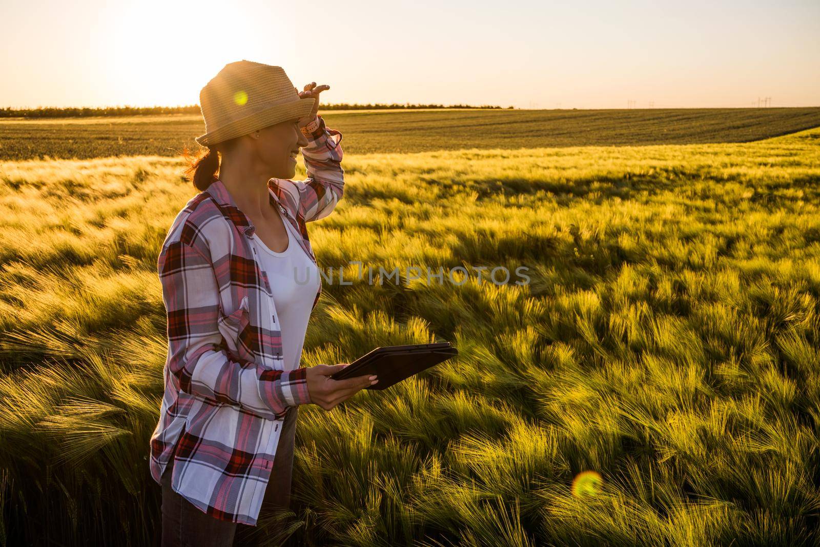 Adult woman is cultivating barley on her land. She is examining progress of crops.