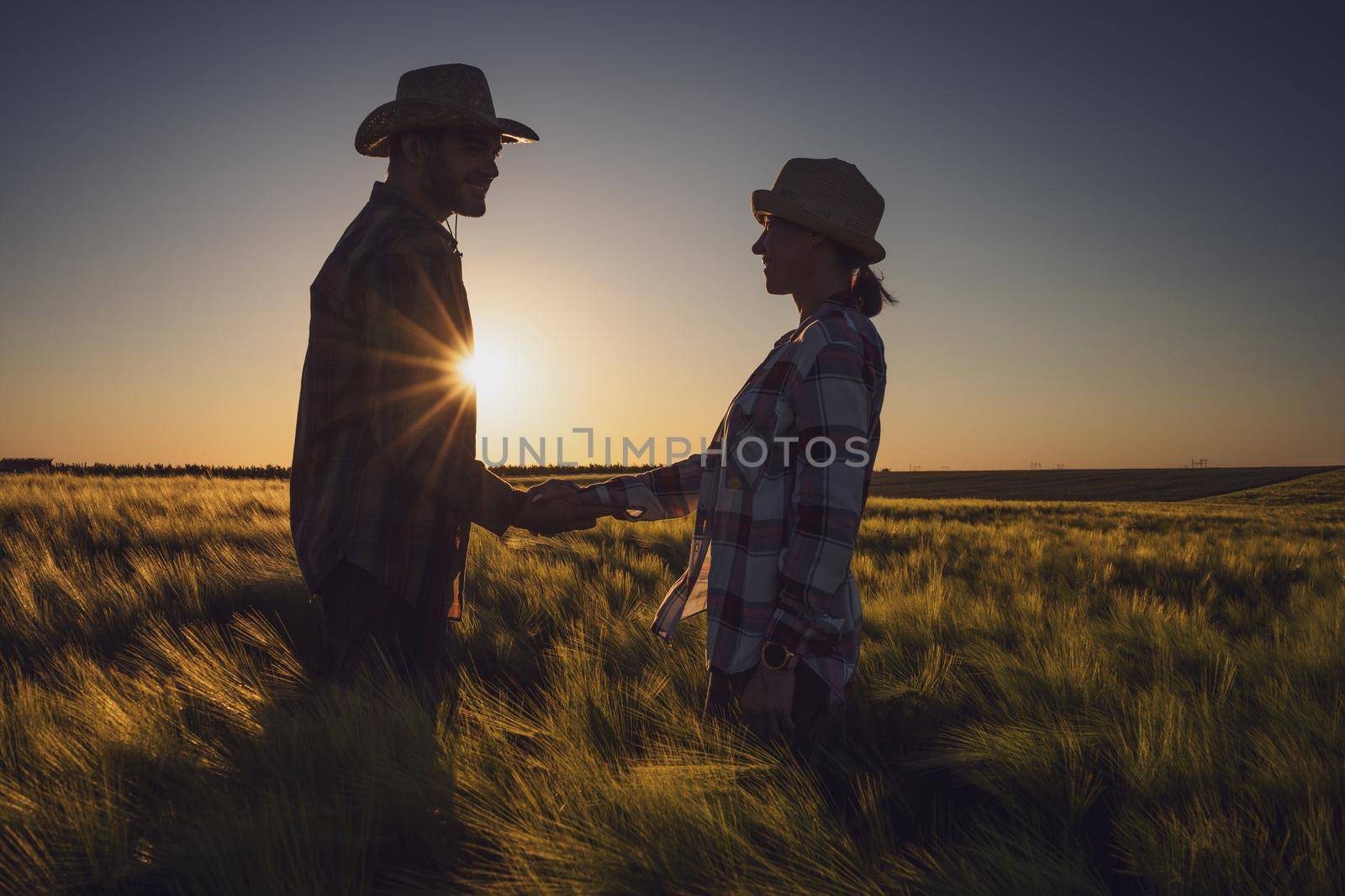 Man and woman are working together in partnership. They are cultivating barley.