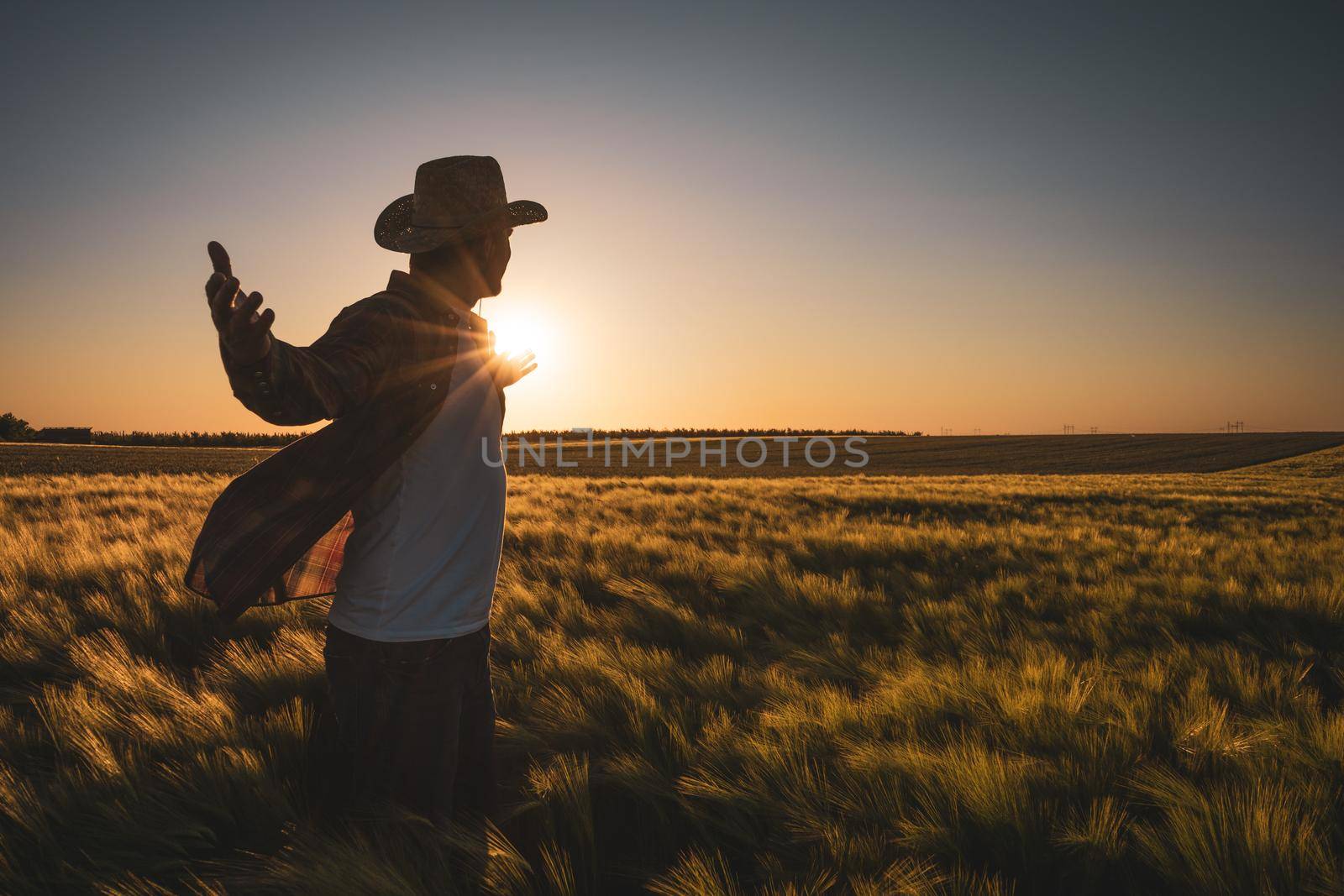 Adult man is cultivating barley on his land. He is satisfied because of good progress of crops.