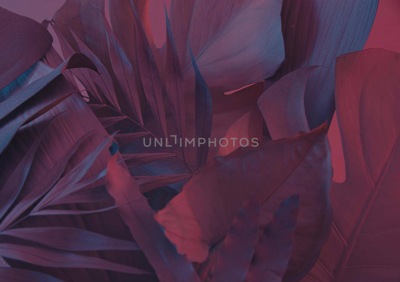 floral tropical background made with leaves and blue and red lig by maramorosz