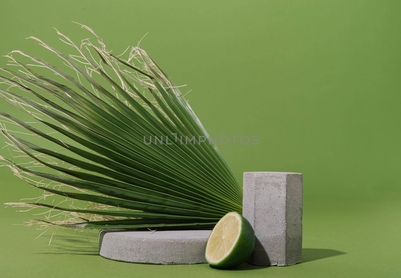 mockup with palm leaf, lime half and concrete shapes. High quality photo