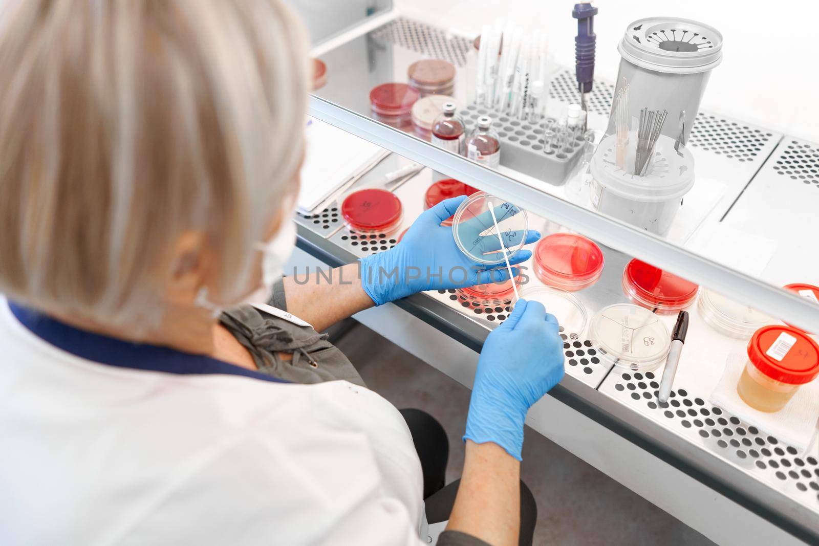 Technician working with samples of cell cultivation in a hospital laboratory by WesternExoticStockers