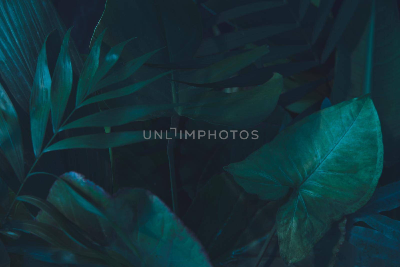 tropican green background. urban jungle by maramorosz