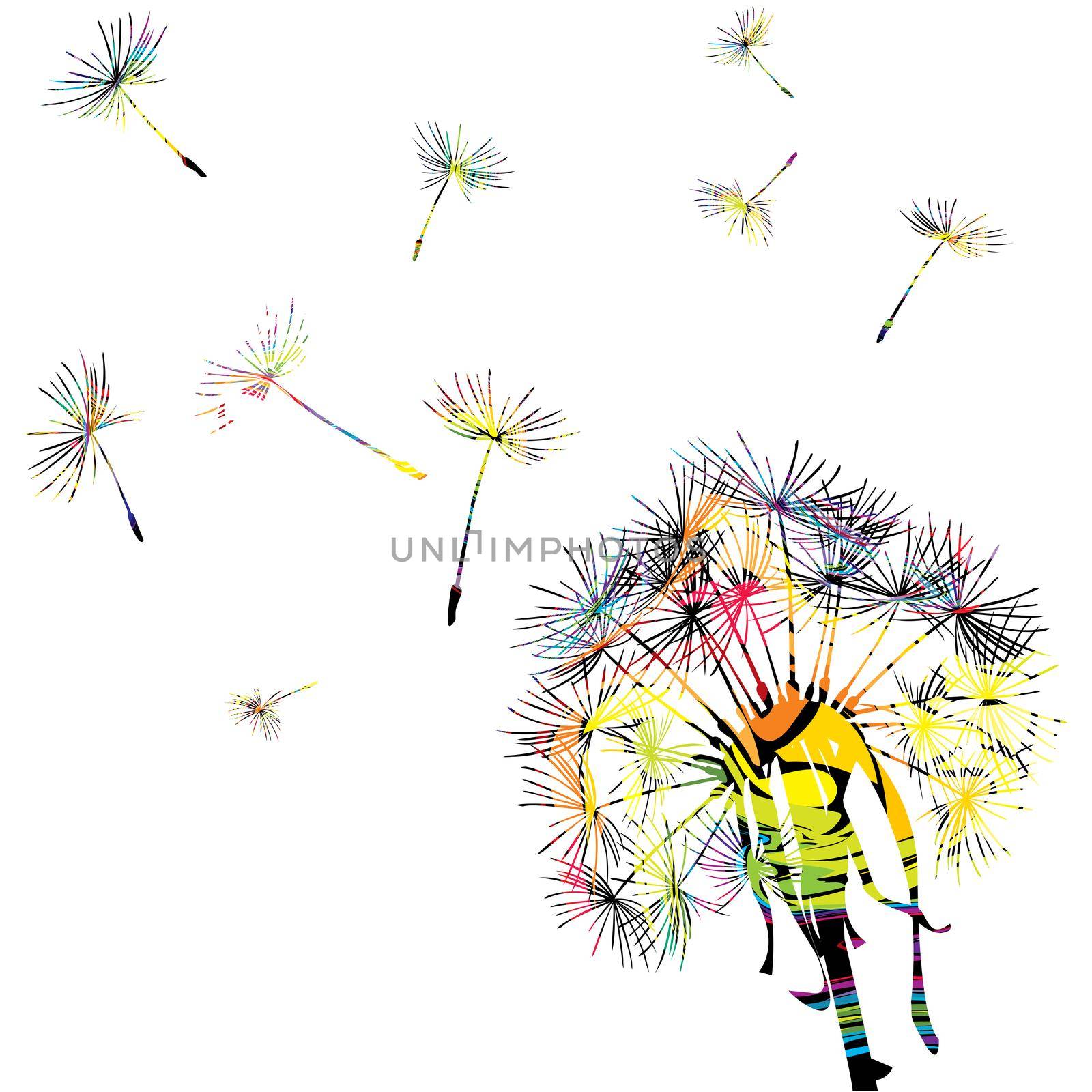 Colorful dandelion with flying seeds by hibrida13