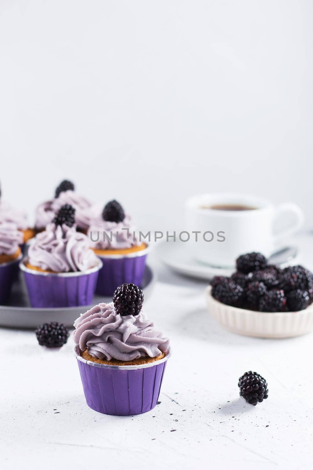 Delicious blackberry cupcake on a gray background with berries, tea and cupcakes in the background. Vertical photo by lara29