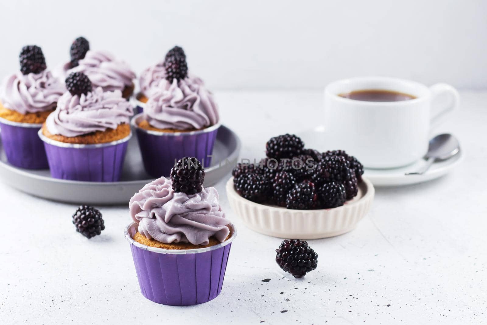 Delicious blackberry cupcake on a gray background with berries, tea and cupcakes in the background by lara29