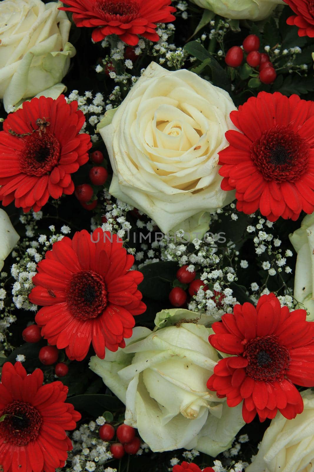 Bridal bouquet in red and white: gerberas, roses and gypsophila