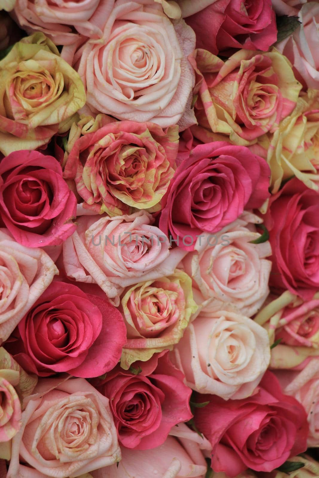 Mixed pink roses in a floral wedding decoration