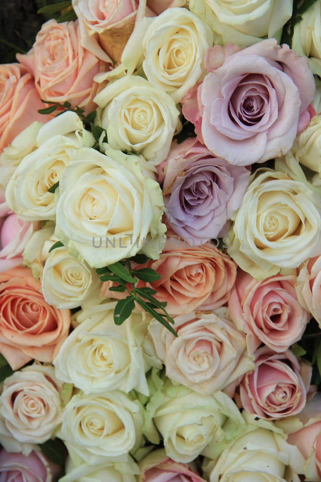 Pastel roses in various colors in a mixed wedding arrangement