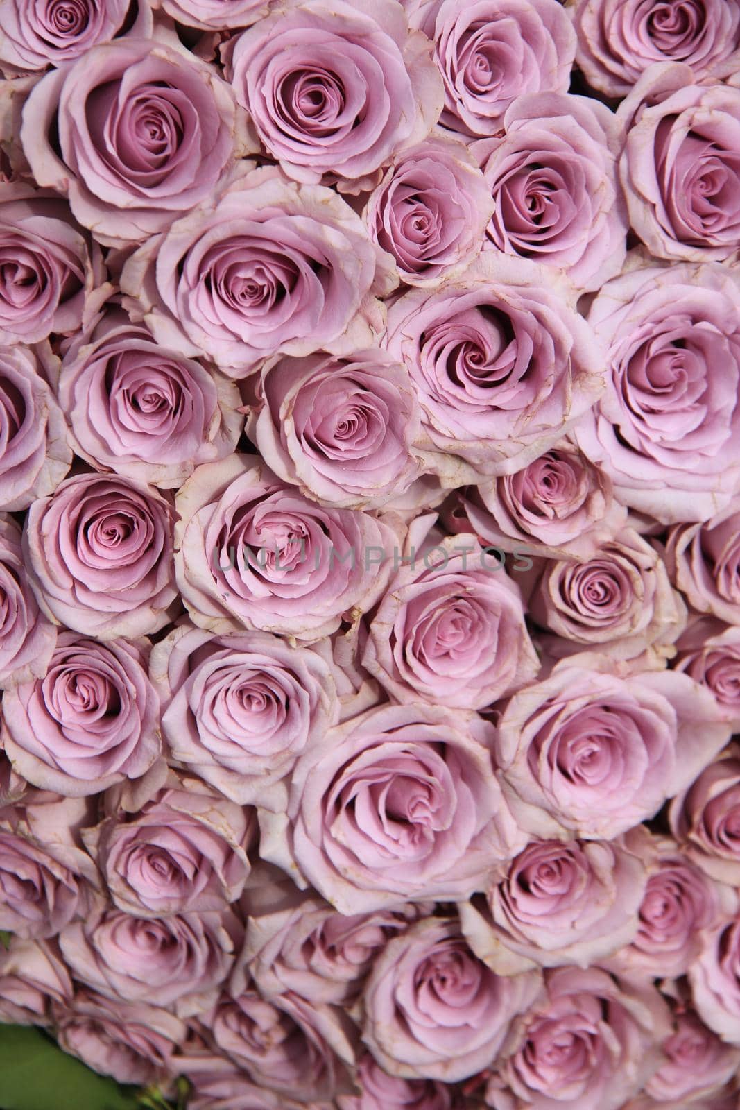 Purple rose wedding arrangement by studioportosabbia