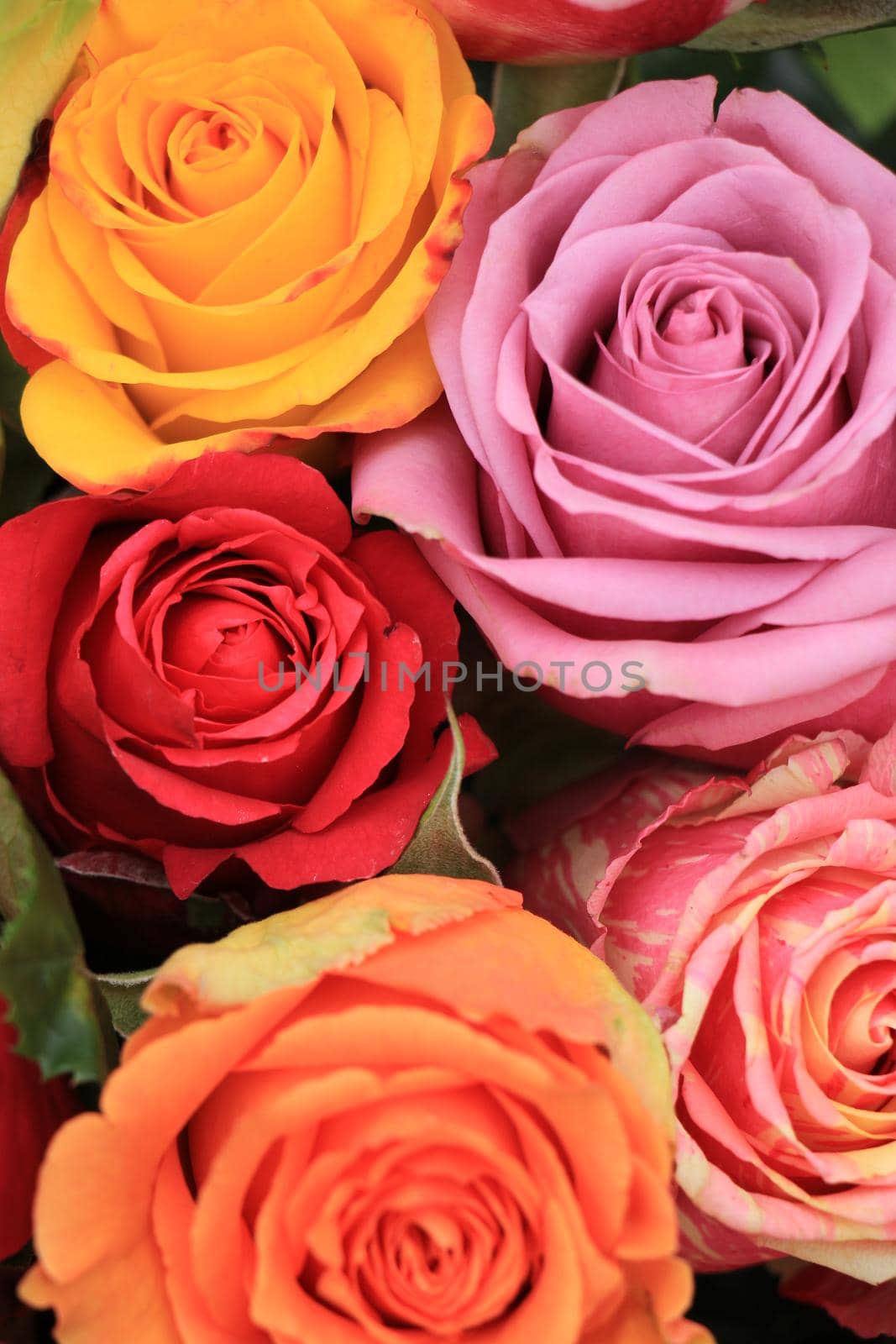 Multicolored roses in a colorful wedding arrangement