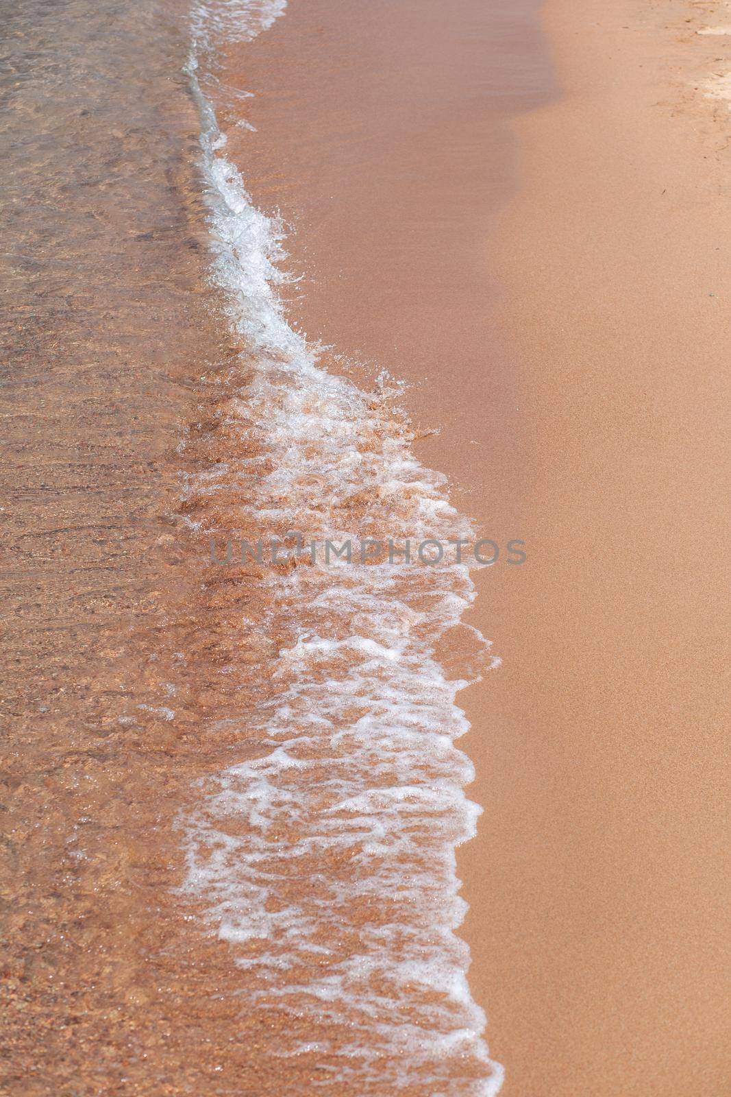 A soft wave runs on a sandy shore on a summer day. by AnatoliiFoto