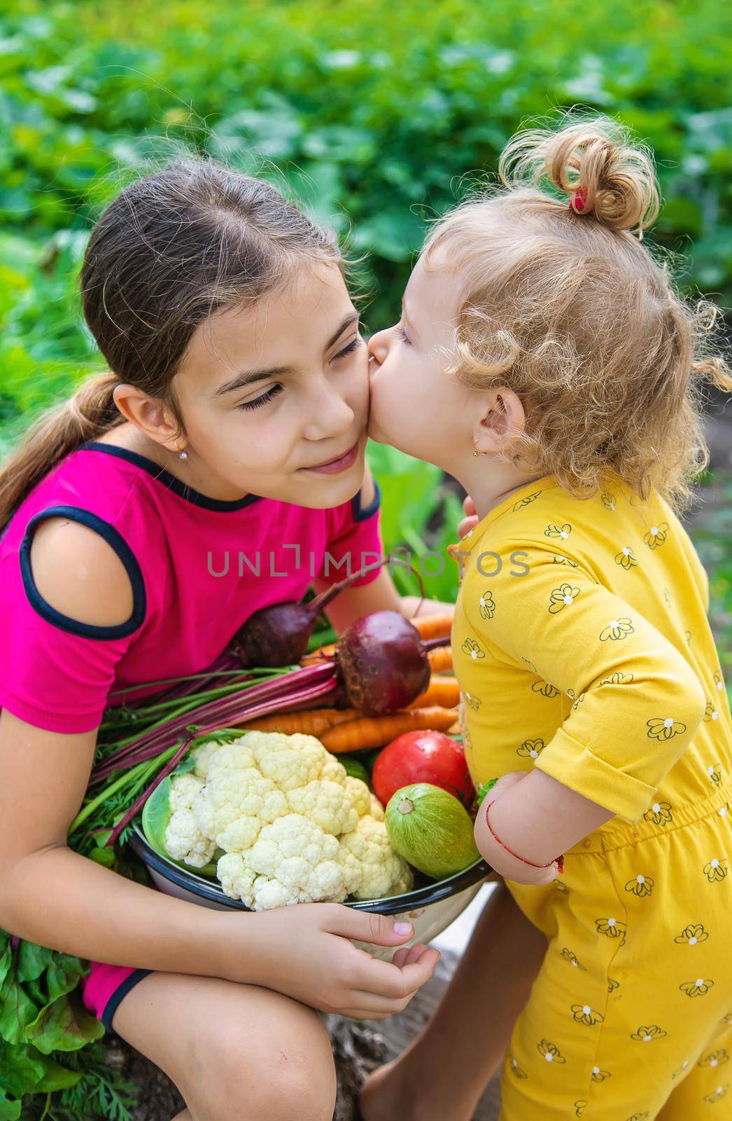 Child in the vegetable garden. selective focus. Kid.