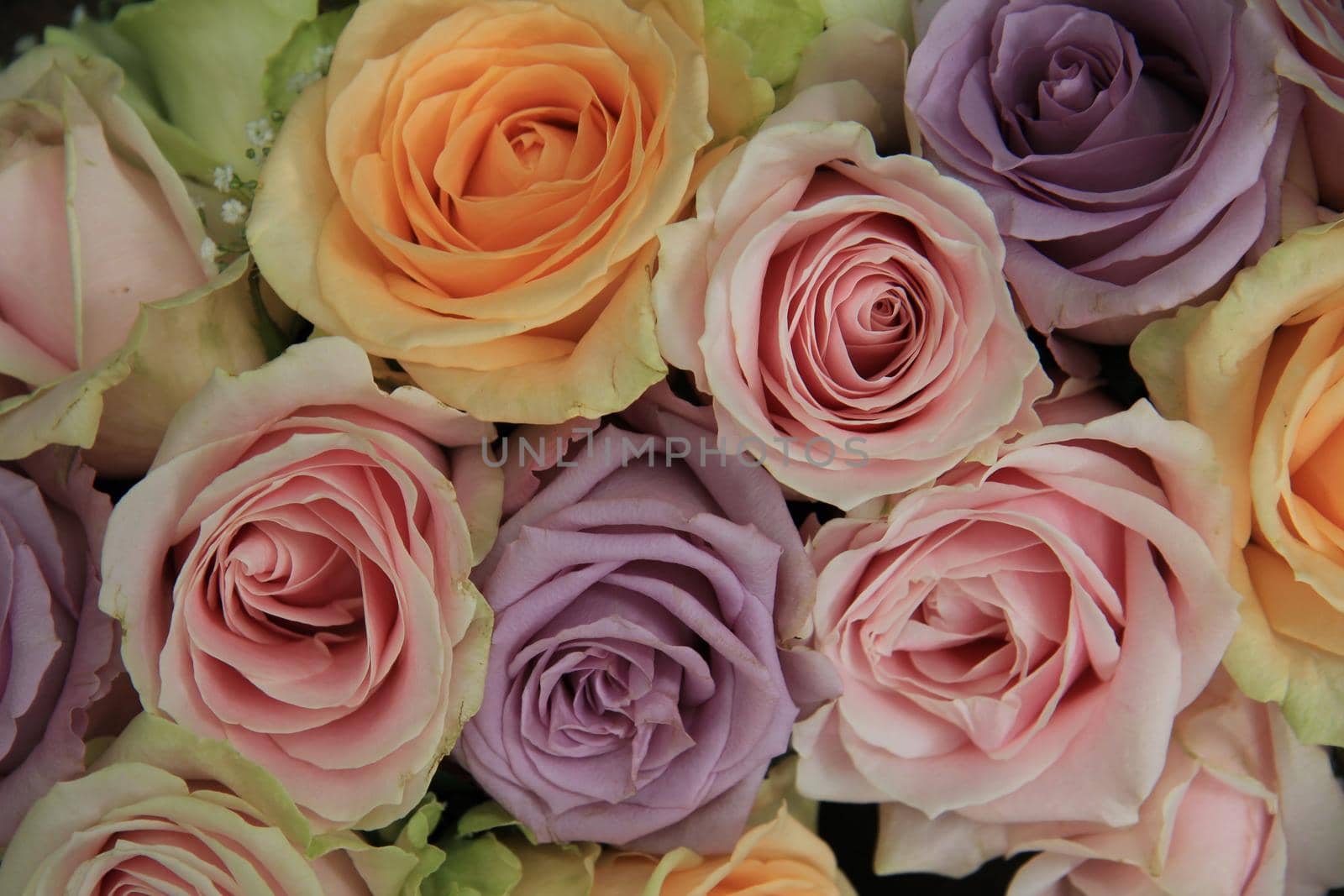 Pastel colored roses in a wedding flower arrangement