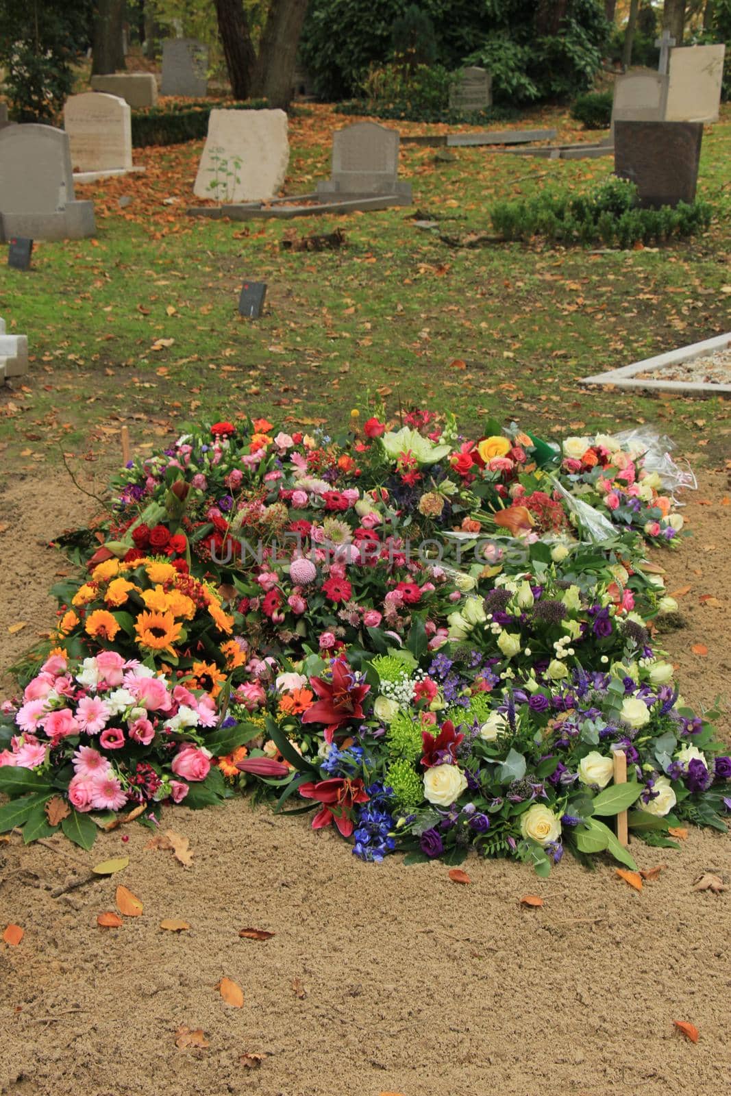 Fresh flowers on a grave after a funeral by studioportosabbia