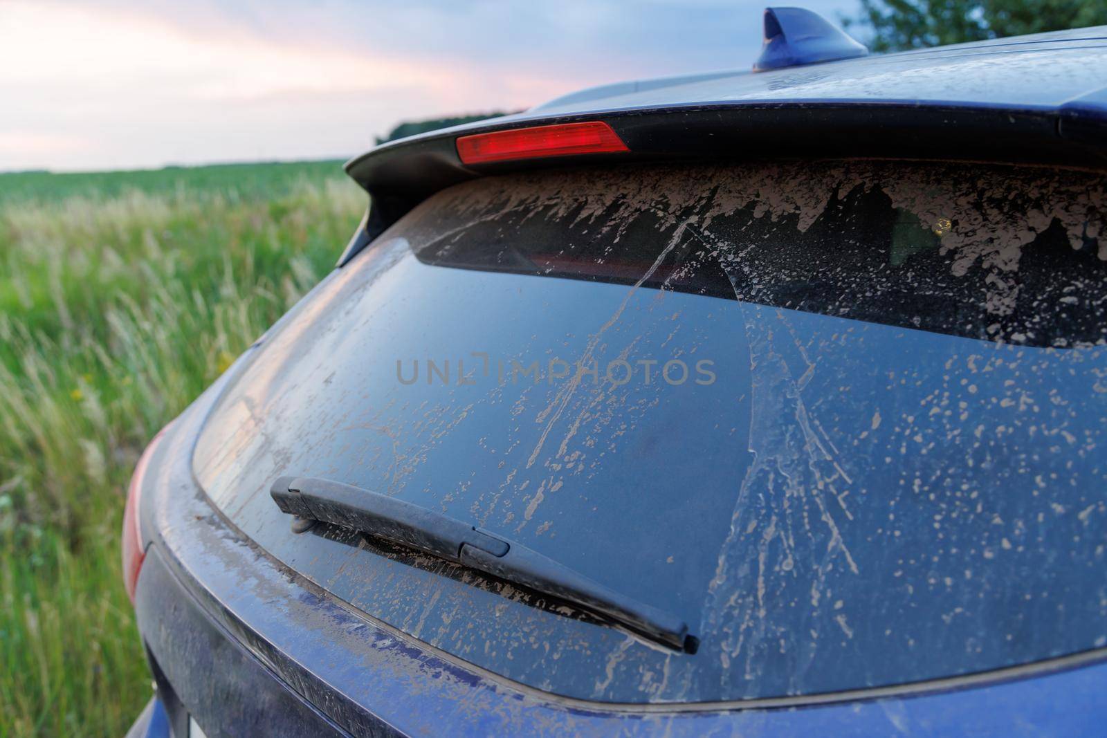 Dirty car glass with wiper and third brake light, rear window covered with a layer of dust and sand. Blurry green grass in the background.