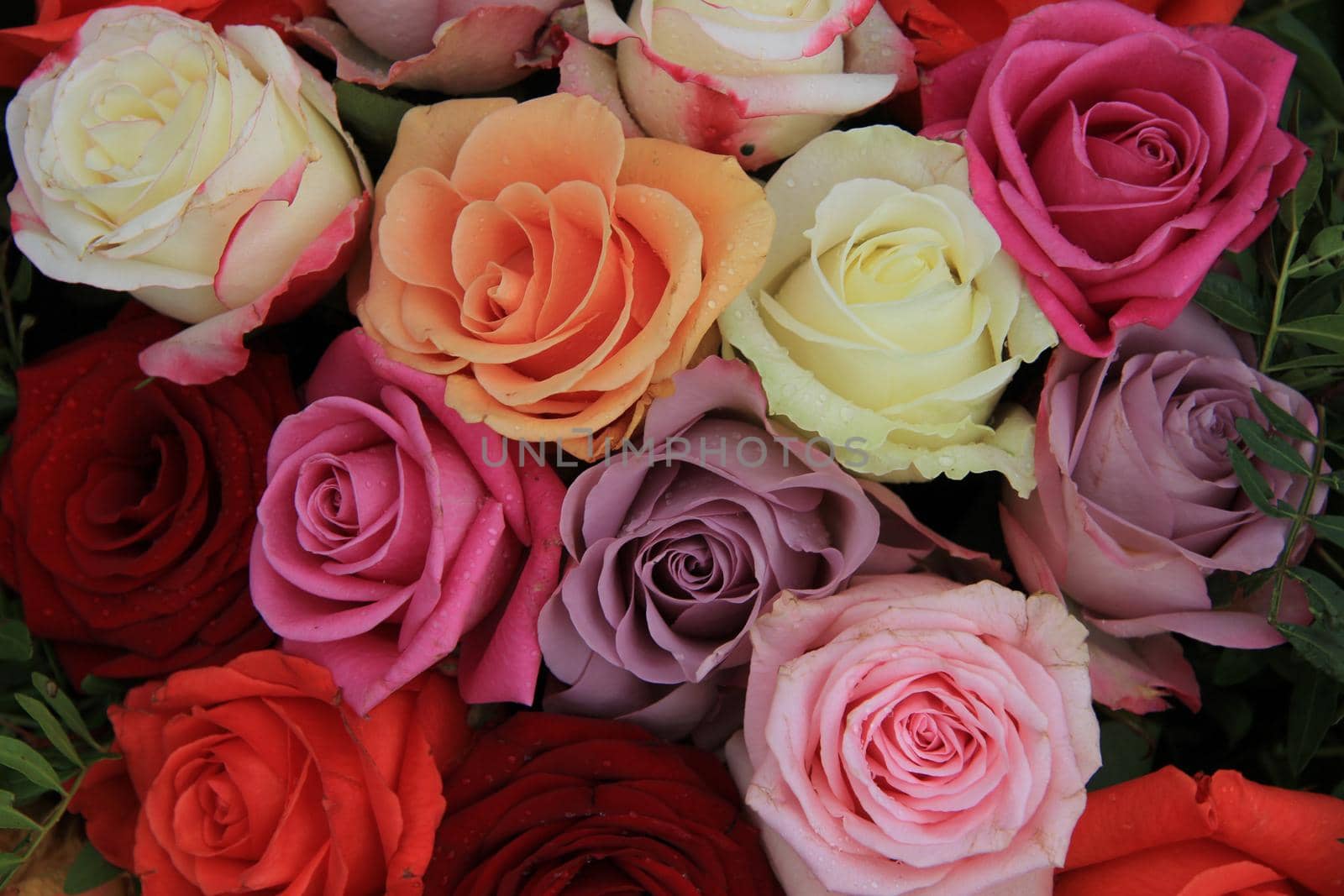 Roses in various bright colors in a mixed bridak bouquet